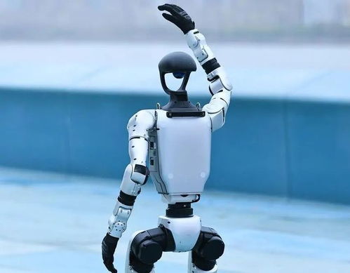 人形机器人产业迎来爆发期，宇树科技启动IPO引领行业新浪潮